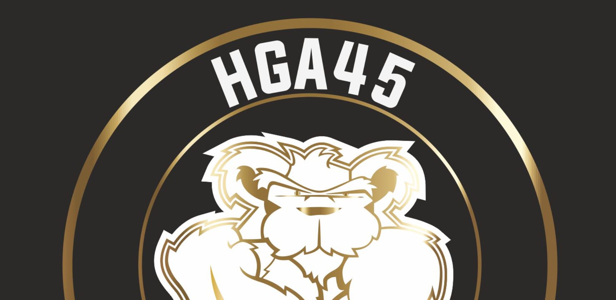 HGA 45